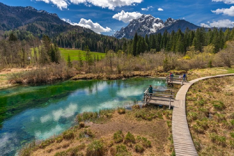 033 Zelenci natuurreservaat.jpg